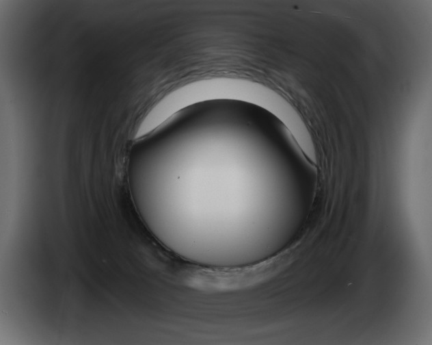 X0000082980033200703020307