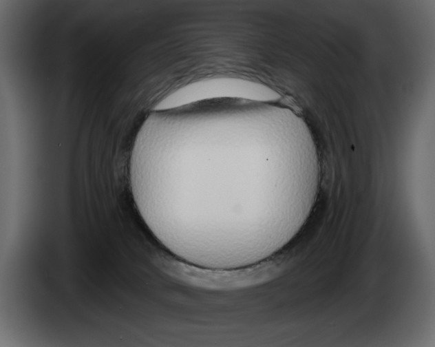 X0000082980034200703020307