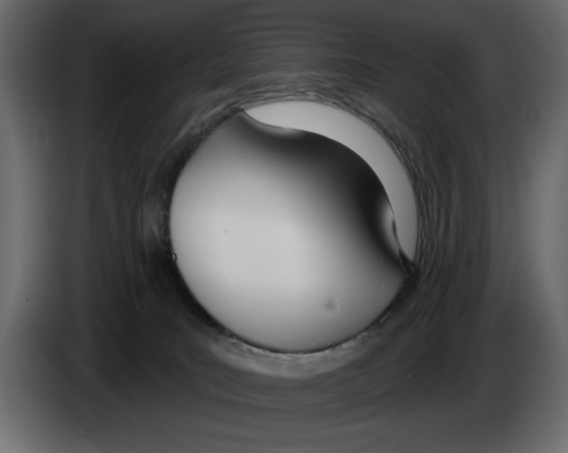 X0000082980035200703020307