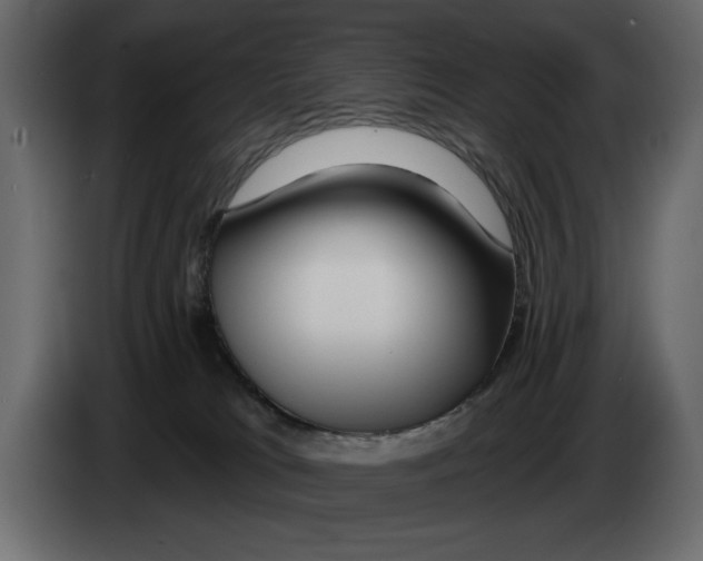 X0000082980037200703020307