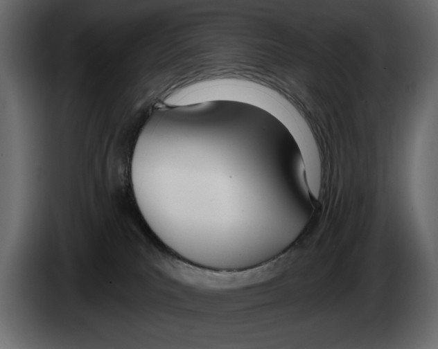 X0000082980039200703020307