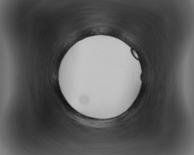 X0000082980040200703020307