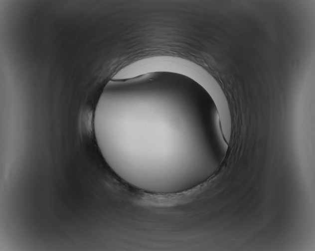 X0000082980041200703020307