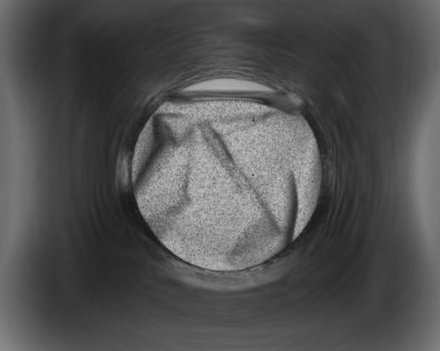 X0000082980042200703020307