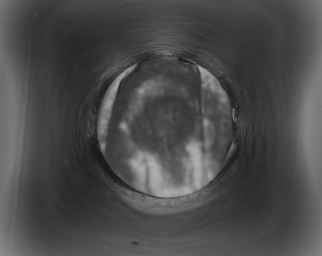 X0000082980043200703020307