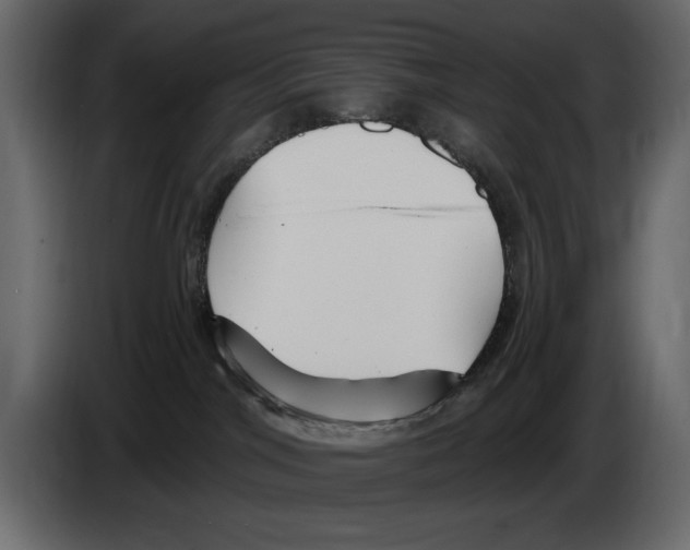 X0000082980044200703020307