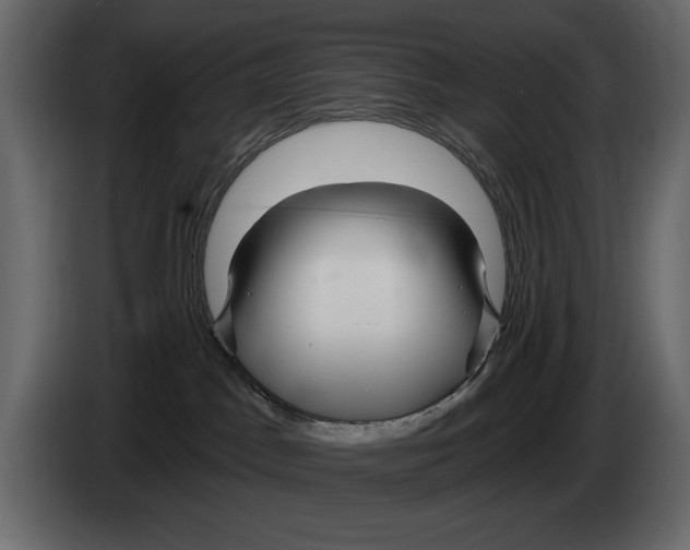X0000082980045200703020307