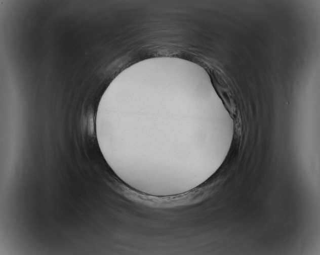 X0000082980046200703020307