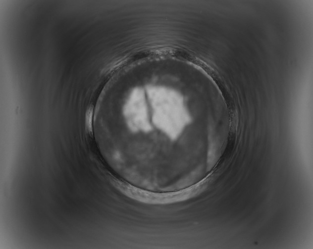 X0000082980047200703020307