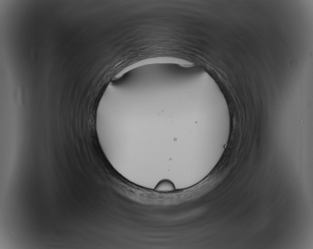 X0000082980048200703020307