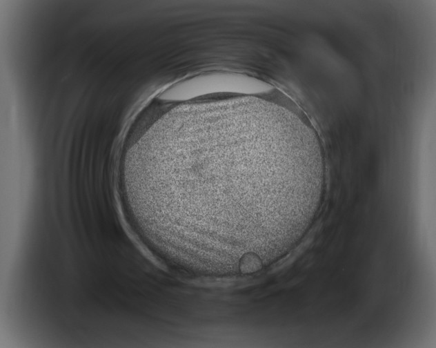 X0000082980049200703020306