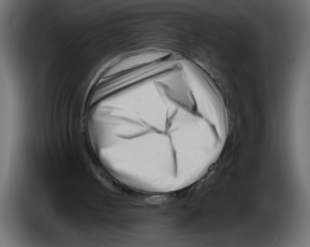 X0000082980050200703020306