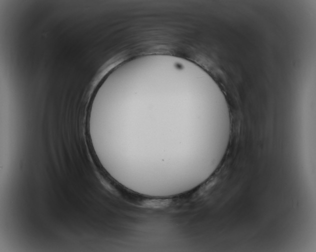 X0000082980051200703020306
