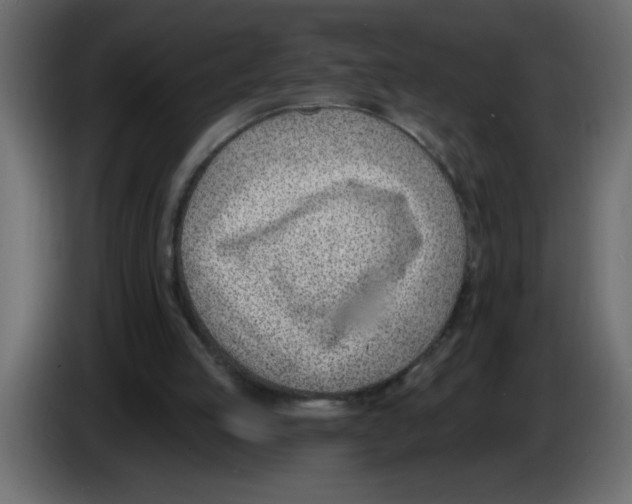 X0000082980053200703020306