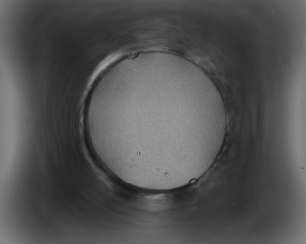 X0000082980054200703020306