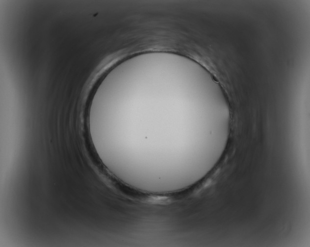 X0000082980055200703020306