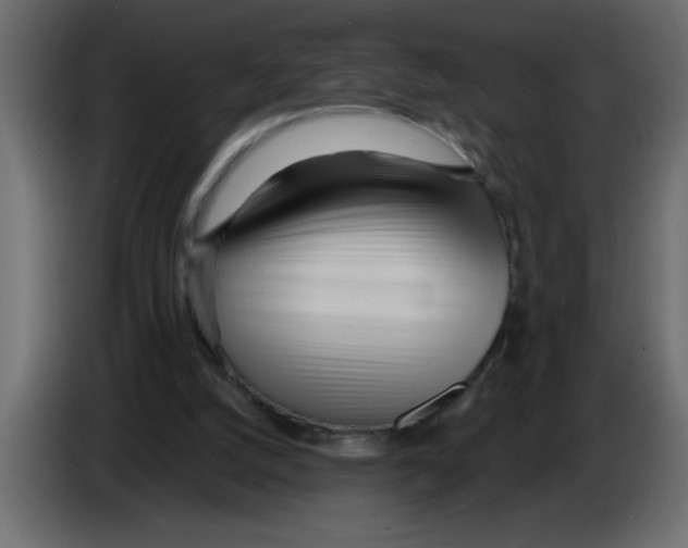 X0000082980056200703020306