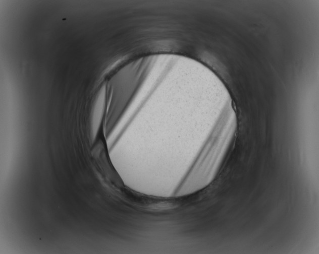 X0000082980058200703020306