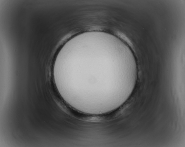 X0000082980059200703020306