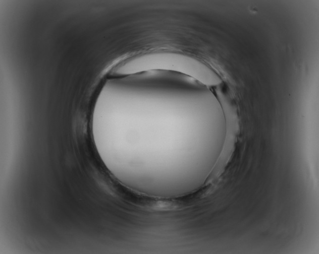 X0000082980060200703020306