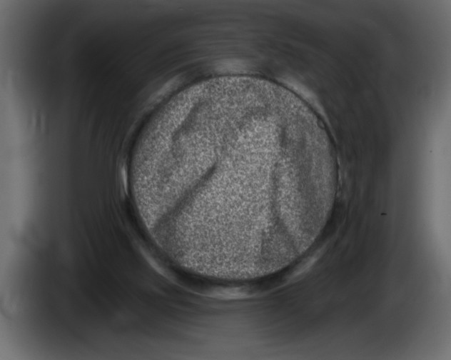 X0000082980061200703020306