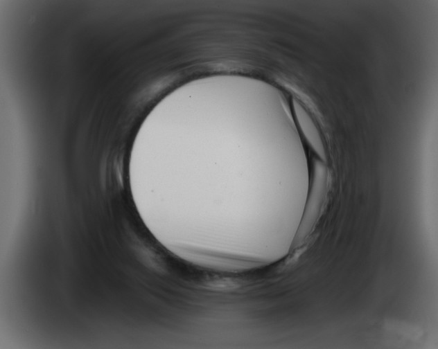 X0000082980062200703020306