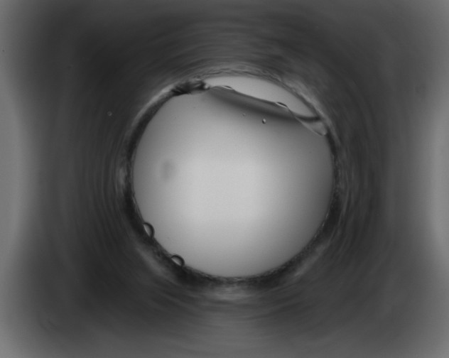 X0000082980063200703020306
