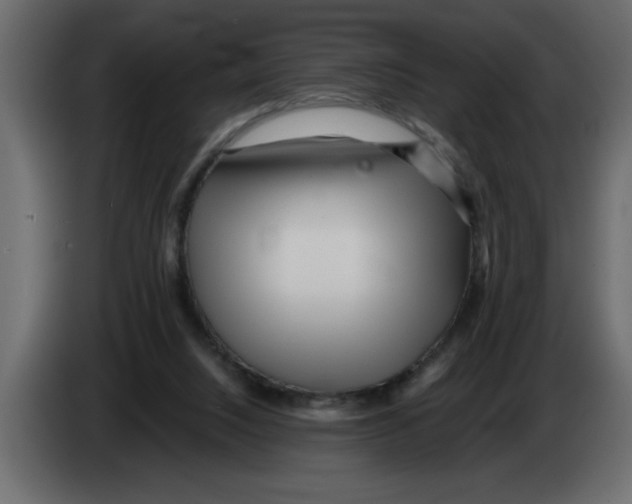 X0000082980064200703020306