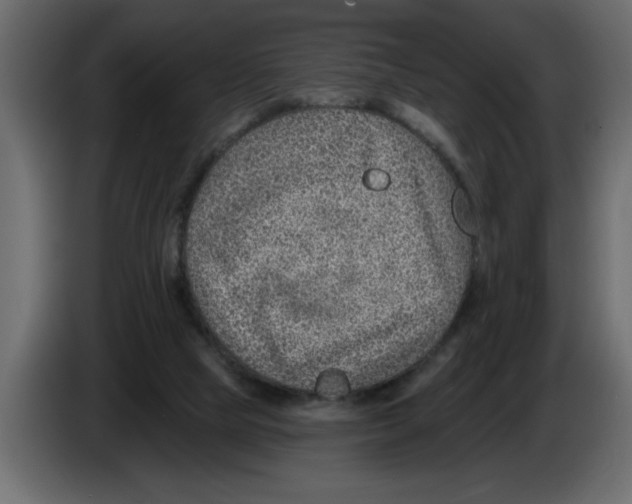 X0000082980065200703020306