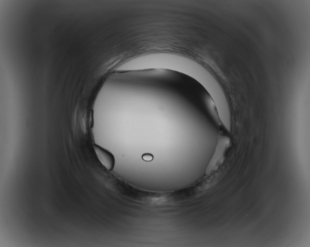 X0000082980068200703020306