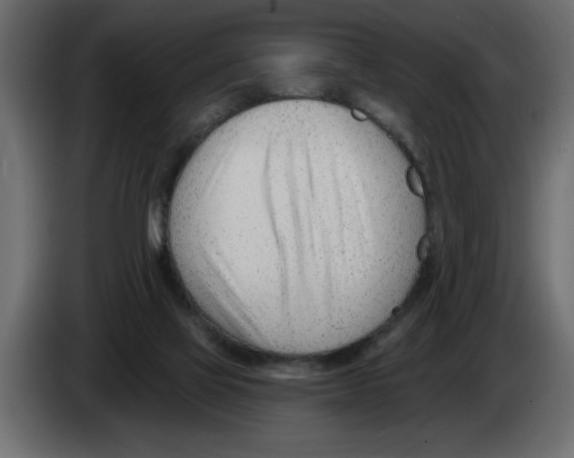 X0000082980069200703020306