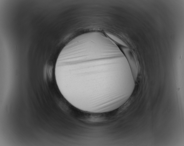 X0000082980070200703020306