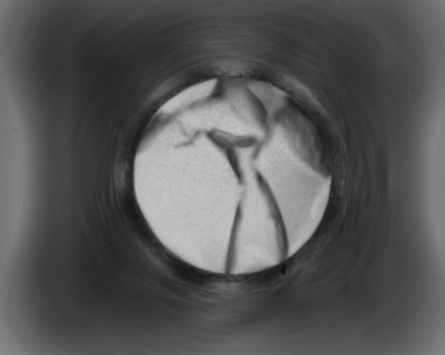 X0000082980071200703020306