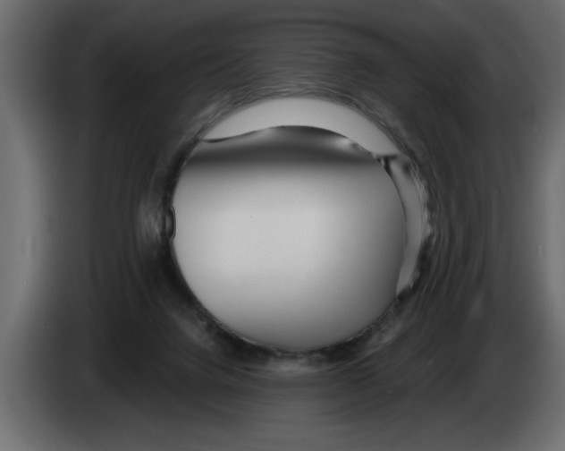 X0000082980072200703020306