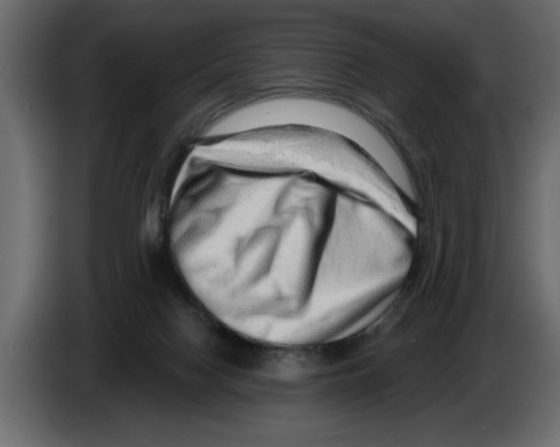 X0000082980074200703020306