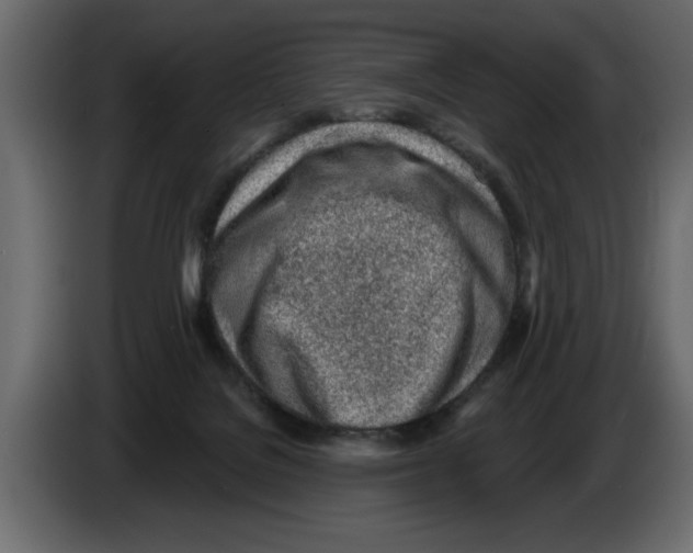 X0000082980076200703020306