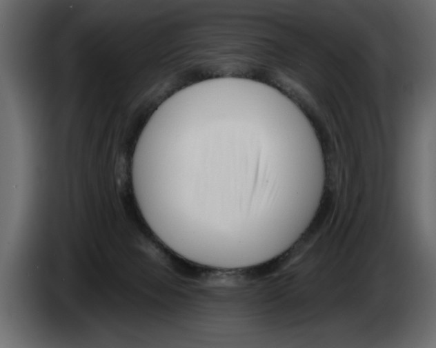 X0000082980077200703020306
