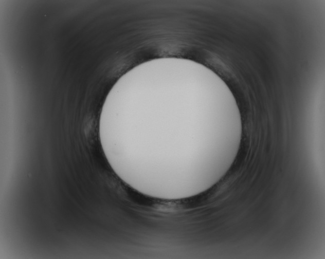 X0000082980079200703020306