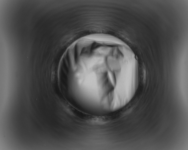 X0000082980080200703020306