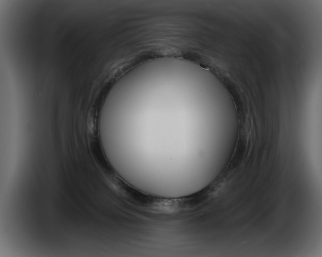 X0000082980084200703020306