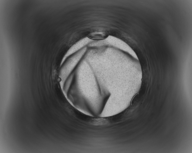 X0000082980087200703020306