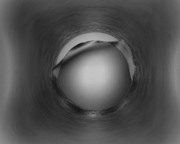X0000082980088200703020306