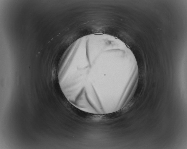X0000082980090200703020307