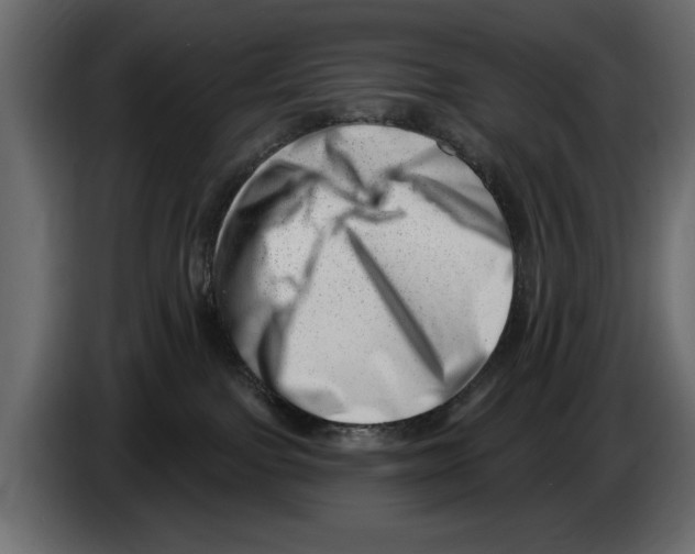 X0000082980091200703020307