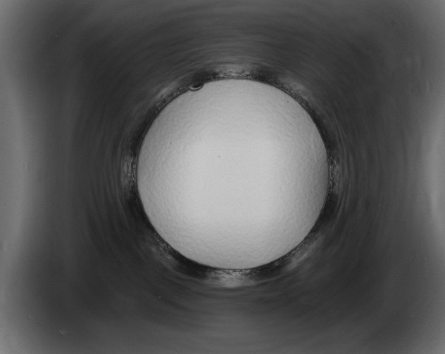 X0000082980093200703020307