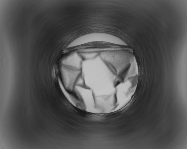 X0000082980094200703020307
