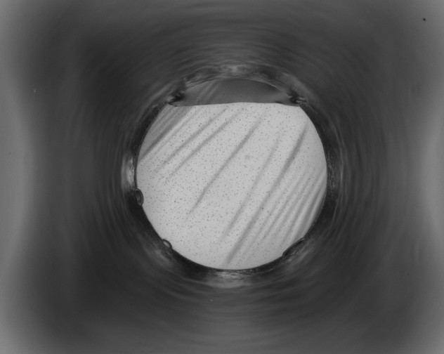 X0000082980095200703020307