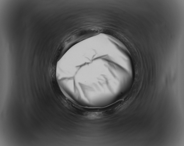 X0000082980096200703020307