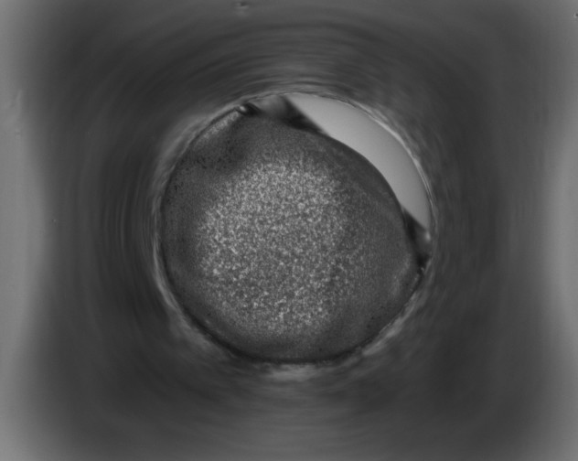 X0000082980097200703020306