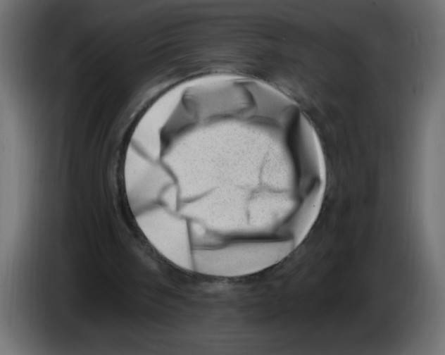 X0000082980098200703020306